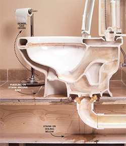 plumber in Pasadena