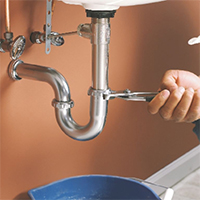 Plumber cypress